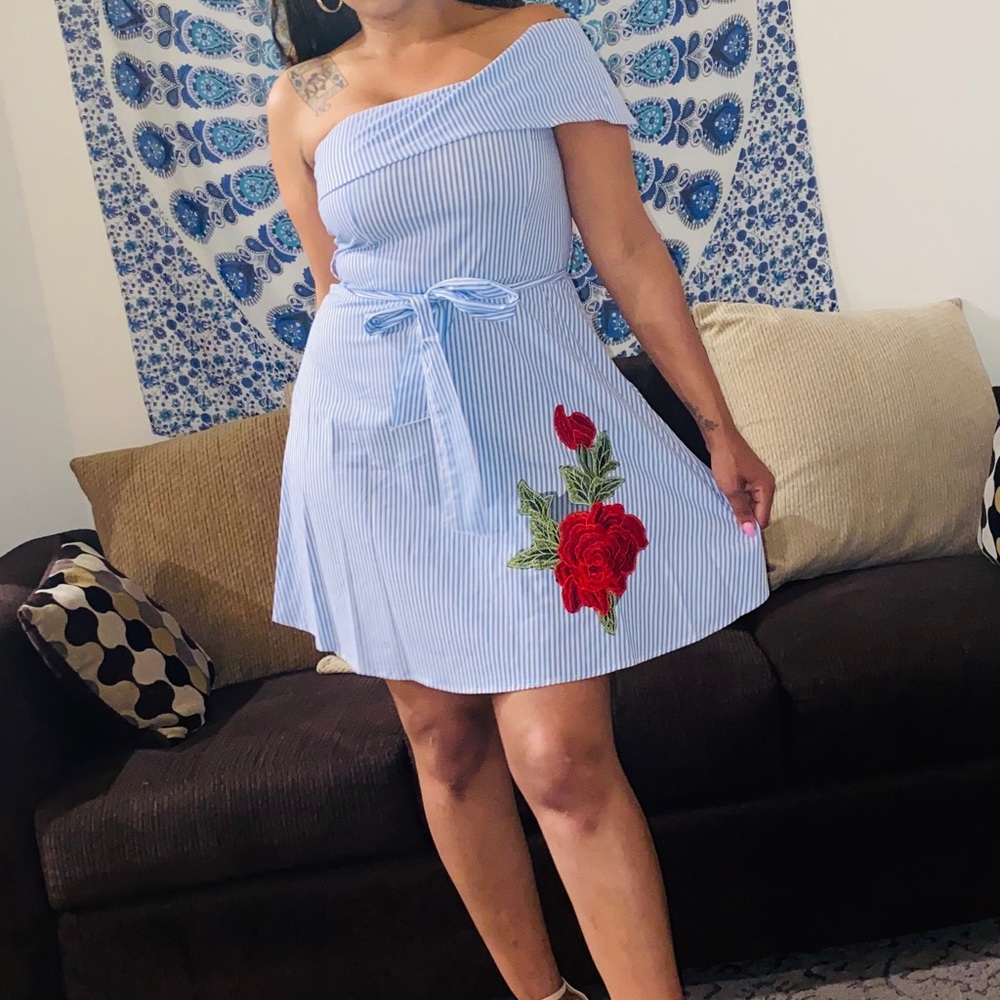 NWT Blue and white striped rose dress